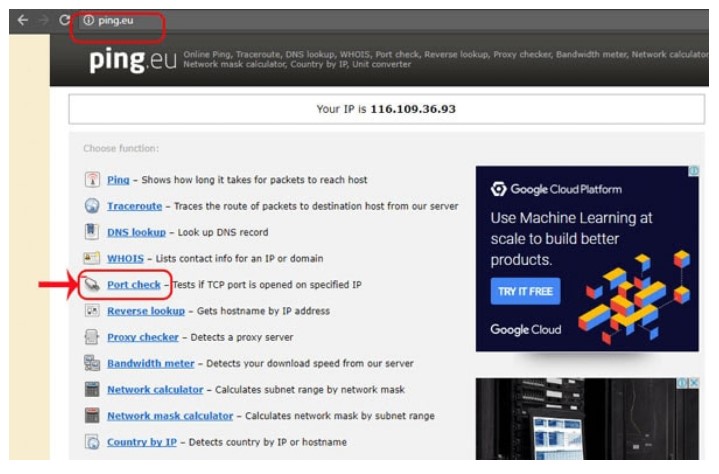 Port check ping.eu